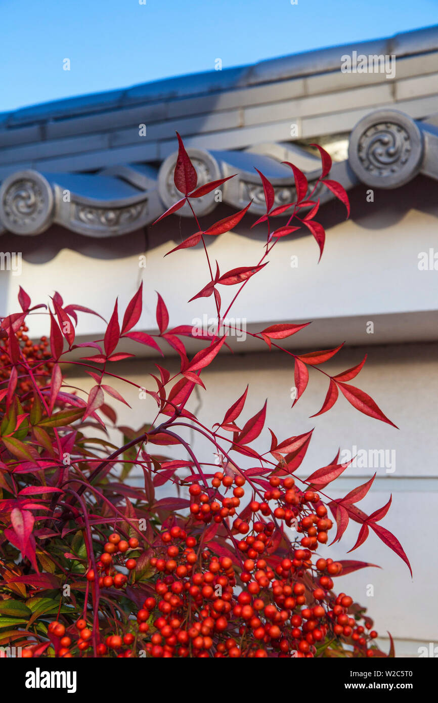 Japan, Kyoto, Herbst Farben Stockfoto