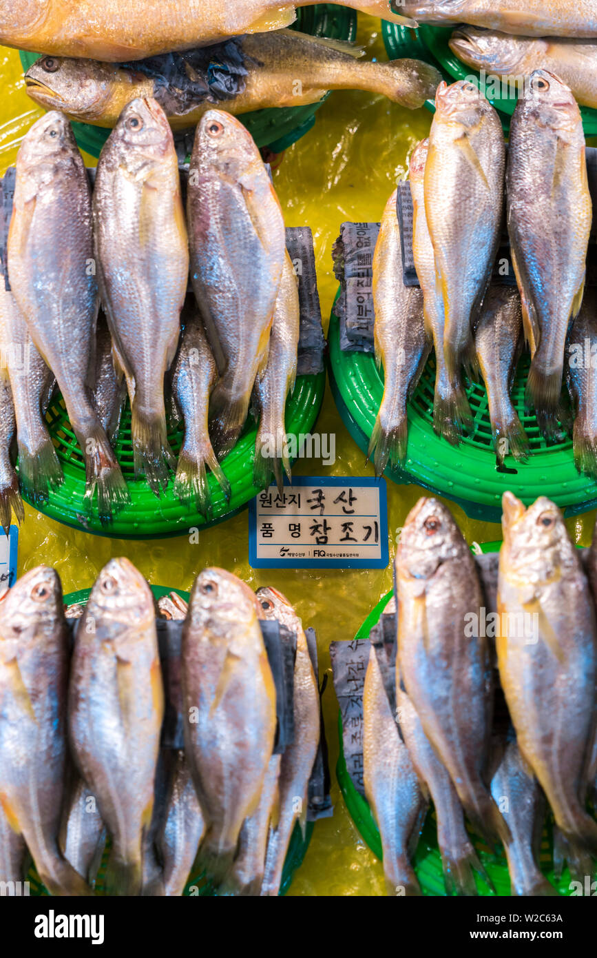 Fisch auf Platten zu verkaufen, Noryangjin Fischmarkt, Seoul, Südkorea Stockfoto