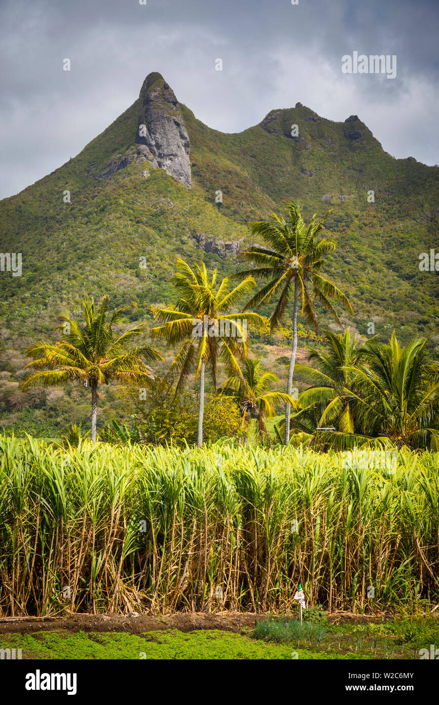 Grand Port district, Ostküste, Mauritius Stockfoto
