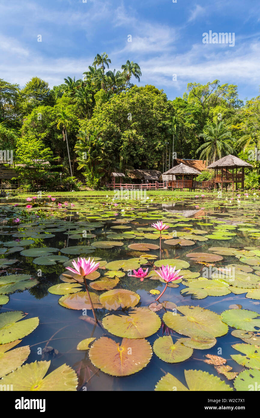 Heritage Cultural Village & Water Lillies, Sabah State Museum, Kota Kinabalu, Sabah, Borneo, Malaysia Stockfoto