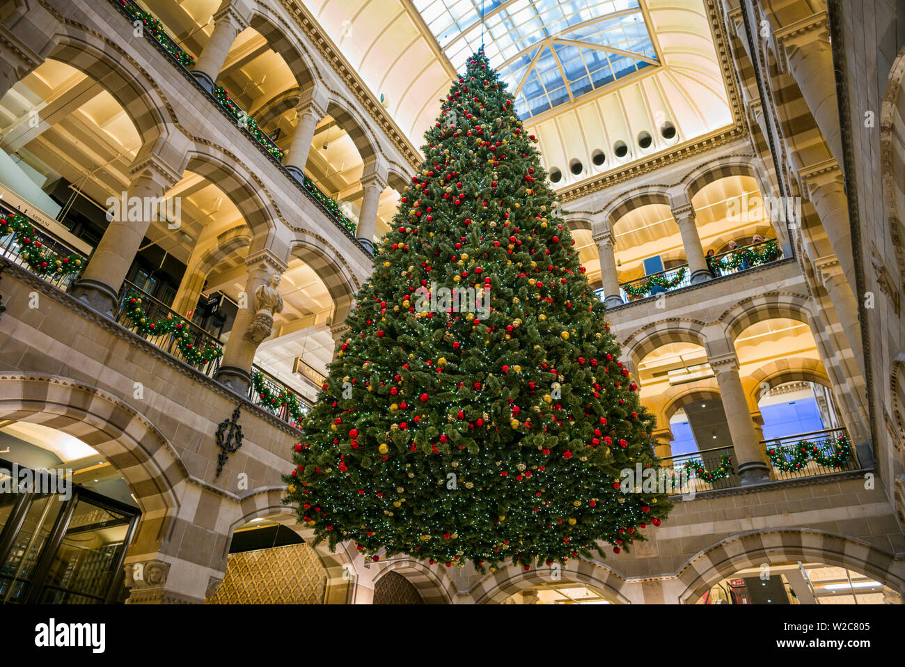 Niederlande, Amsterdam, Magna Plaza Shopping Mall im ehemaligen Postgebäude, Interieur mit Weihnachtsbaum Stockfoto