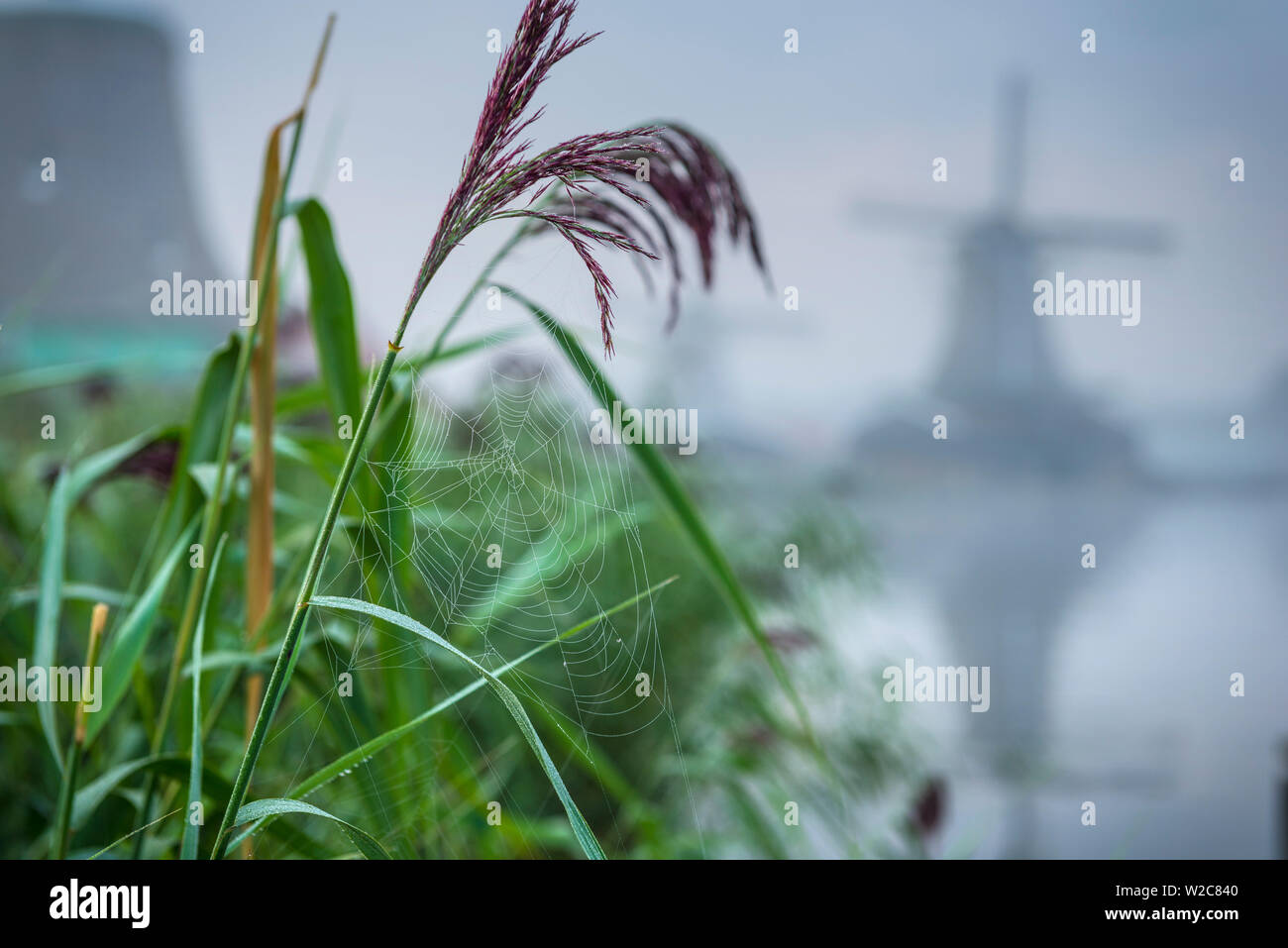 Niederlande, Nordholland, Zaandam, Zaanse Schans, Windmühlen Stockfoto