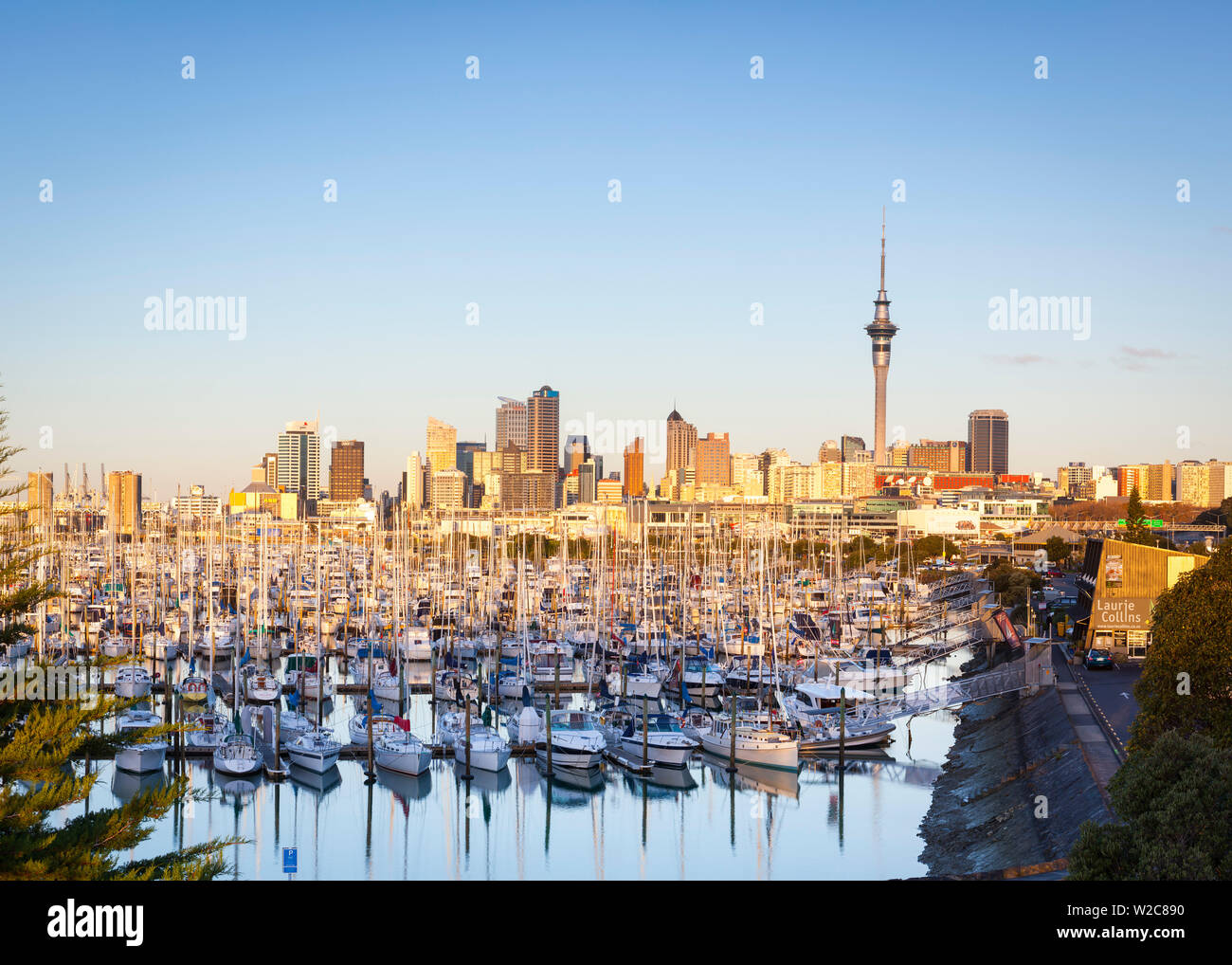 Westhaven Marina & Skyline der Stadt leuchtet bei Sonnenuntergang, Waitemata Harbour, Auckland, Nordinsel, Neuseeland, Australien Stockfoto