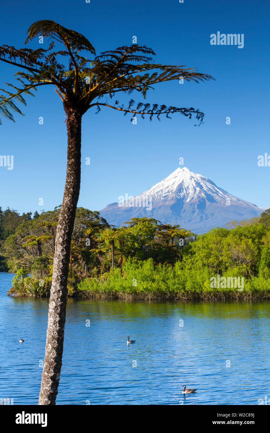 Mount Taranaki (Egmont) und Lake Mangamahoe, North Island, Neuseeland Stockfoto