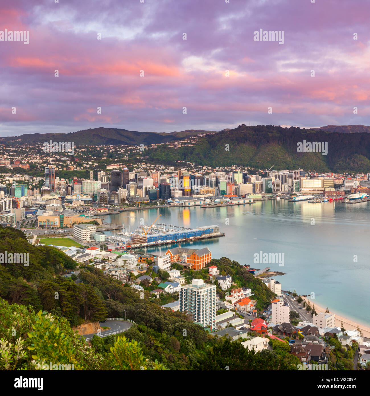 Erhöhten Blick auf Zentrum von Wellington beleuchtet bei Sonnenaufgang, Wellington, Nordinsel, Neuseeland Stockfoto