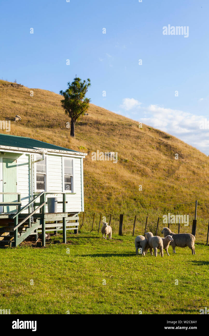 Scherer Unterkunft, Tologa Bay, East Cape, North Island, Neuseeland Stockfoto