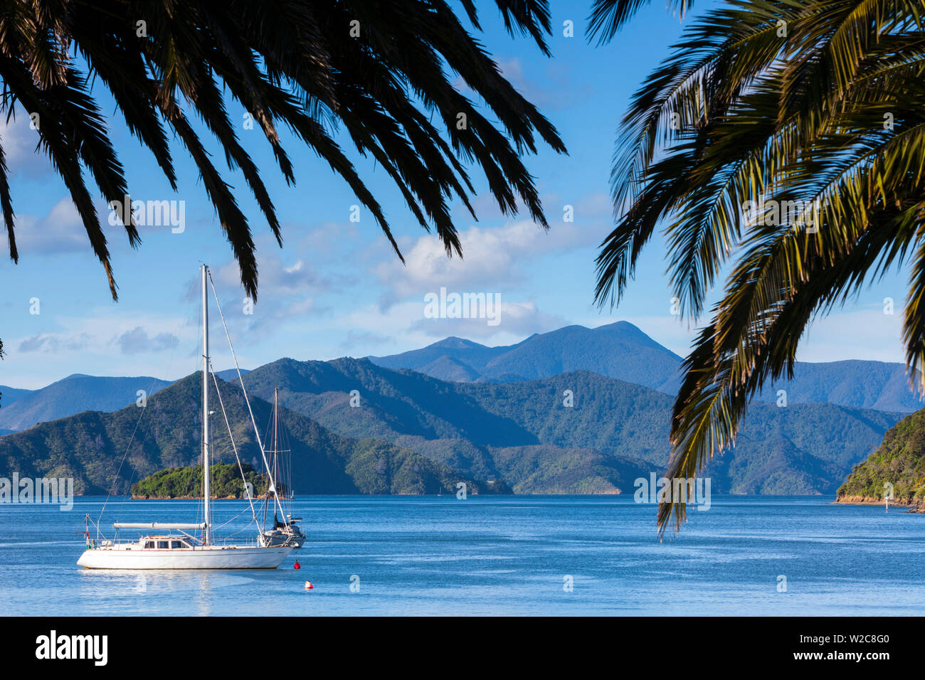 Yachten auf der idyllischen Queen Charlotte Sound, Picton, Marlborough Sounds, Südinsel, Neuseeland Stockfoto