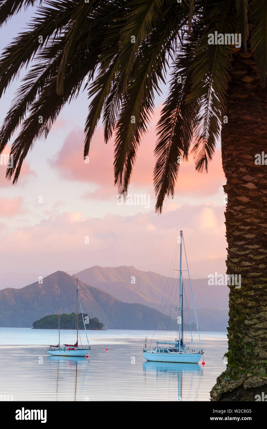 Yachten auf der idyllischen Queen Charlotte Sound, Picton, Marlborough Sounds, Südinsel, Neuseeland Stockfoto