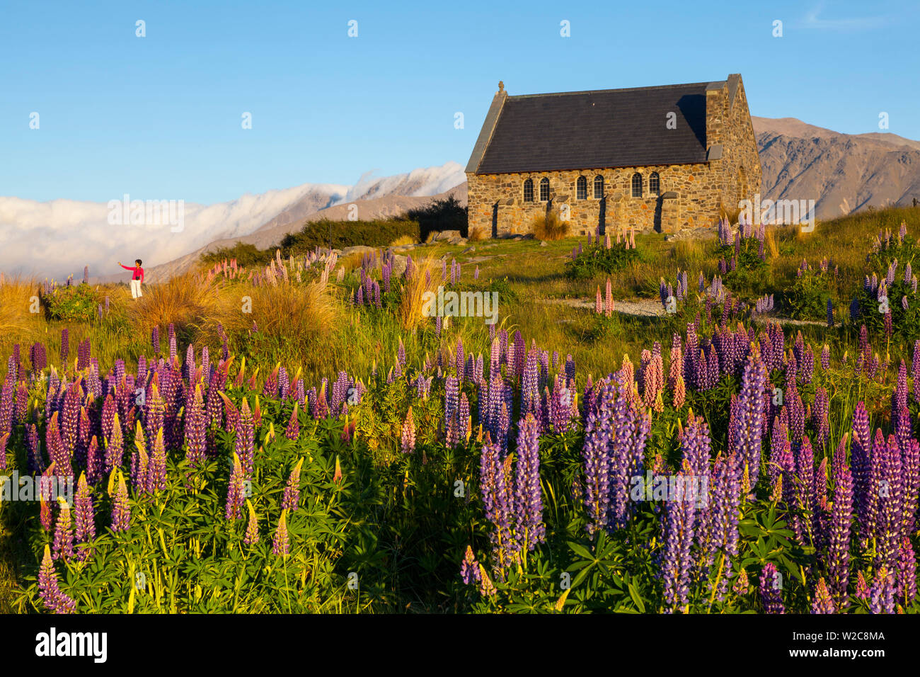 Kirche des Guten Hirten, Lake Tekapo, Mackenzie Country, Canterbury, Südinsel, Neuseeland Stockfoto