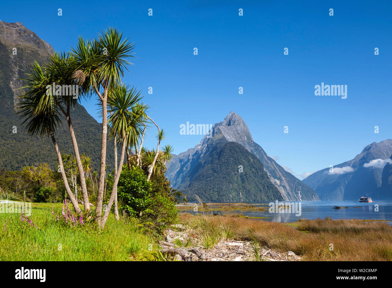 Mitre Peak, Milford Sound, Fiordland-Nationalpark, Südinsel, Neuseeland Stockfoto