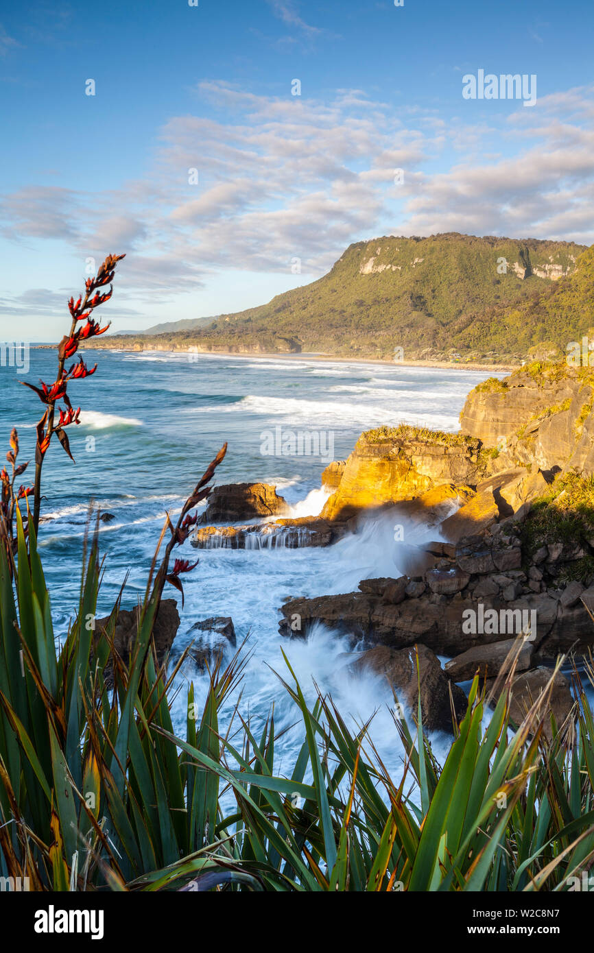 Die Küste bei Punakaiki, West Coast, South Island, Neuseeland Stockfoto