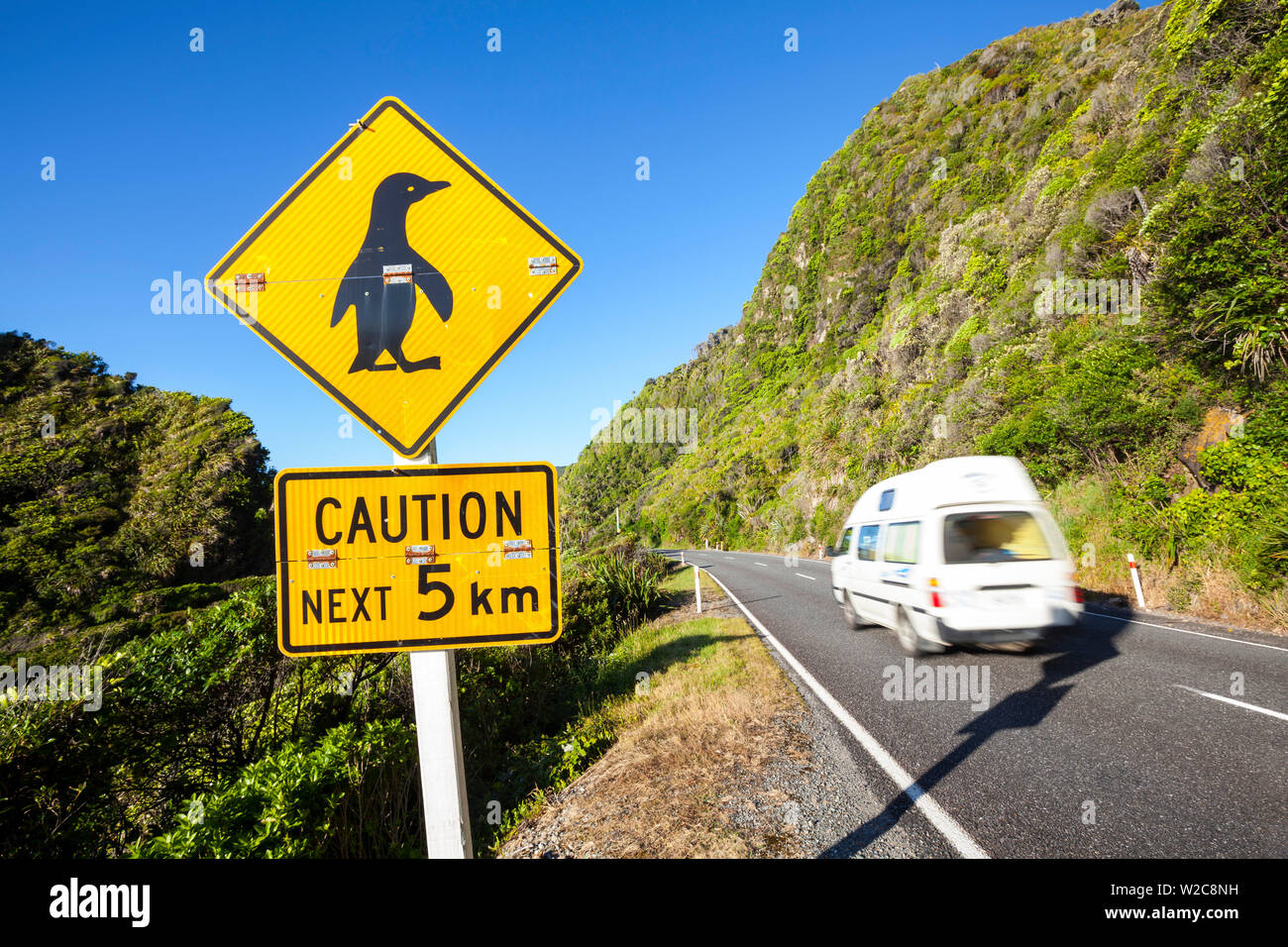 Pinguin Warnschild & Coastal Road, Stratford, West Coast, South Island, Neuseeland Stockfoto