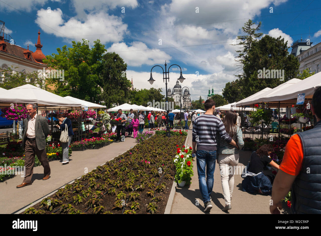 Targu mures Fotos und Bildmaterial in hoher Auflösung Alamy