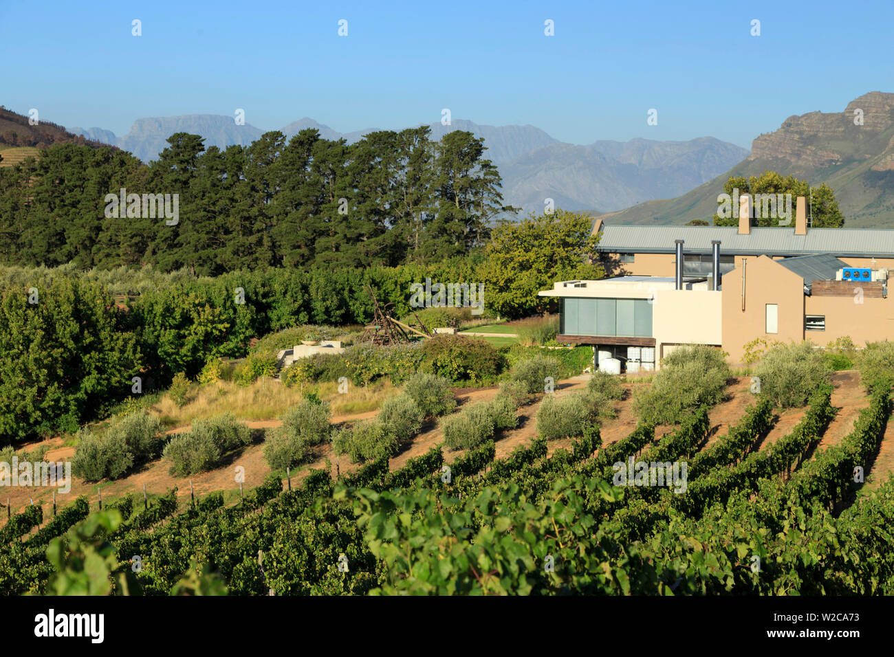 Südafrika, Western Cape, Stellenbosch, Tokara Weingut Stockfoto Südafrika, Western Cape, Stellenbosch, Tokara Weingut Stockfoto