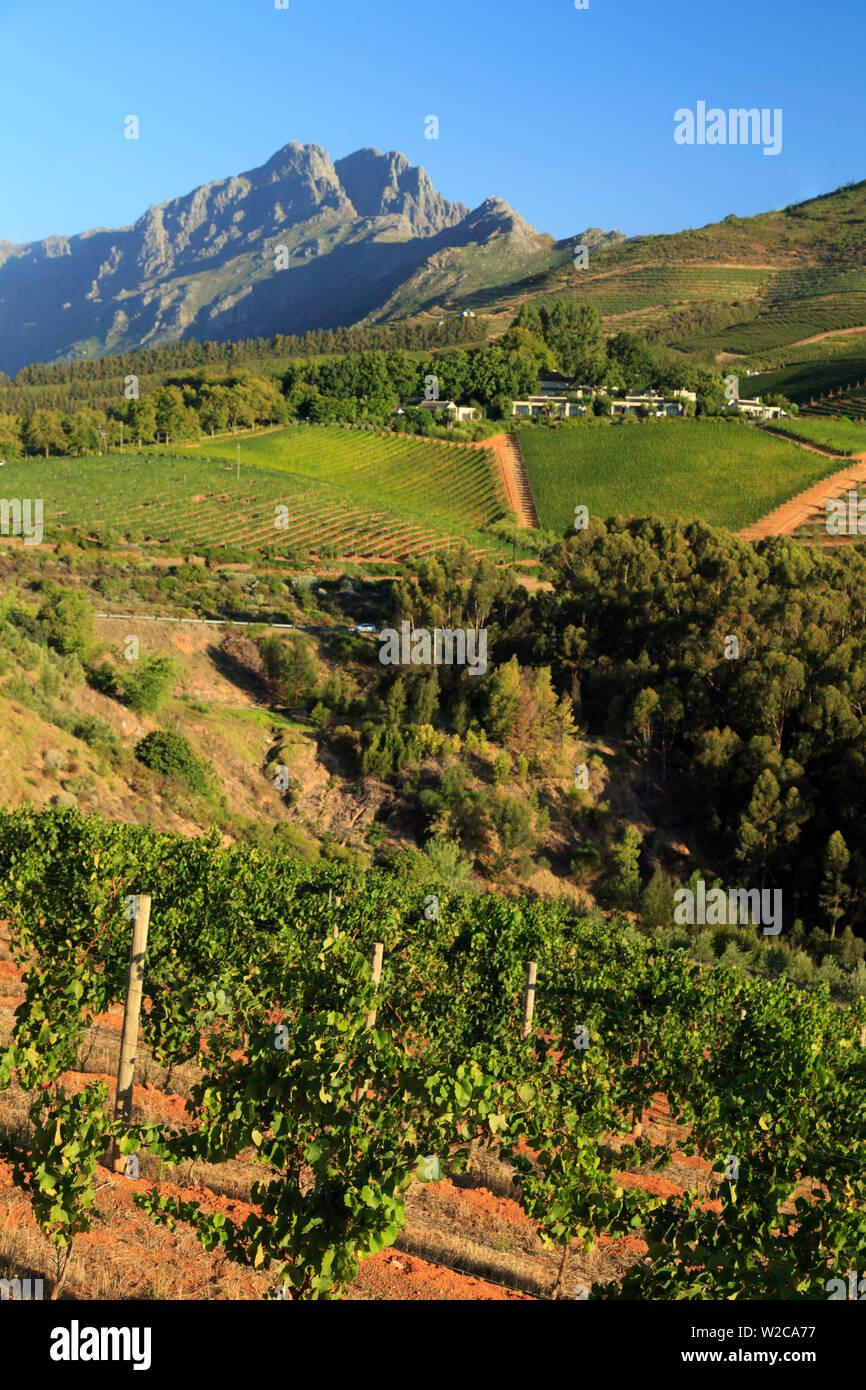 Südafrika, Western Cape, Stellenbosch, Tokara Weingut Stockfoto