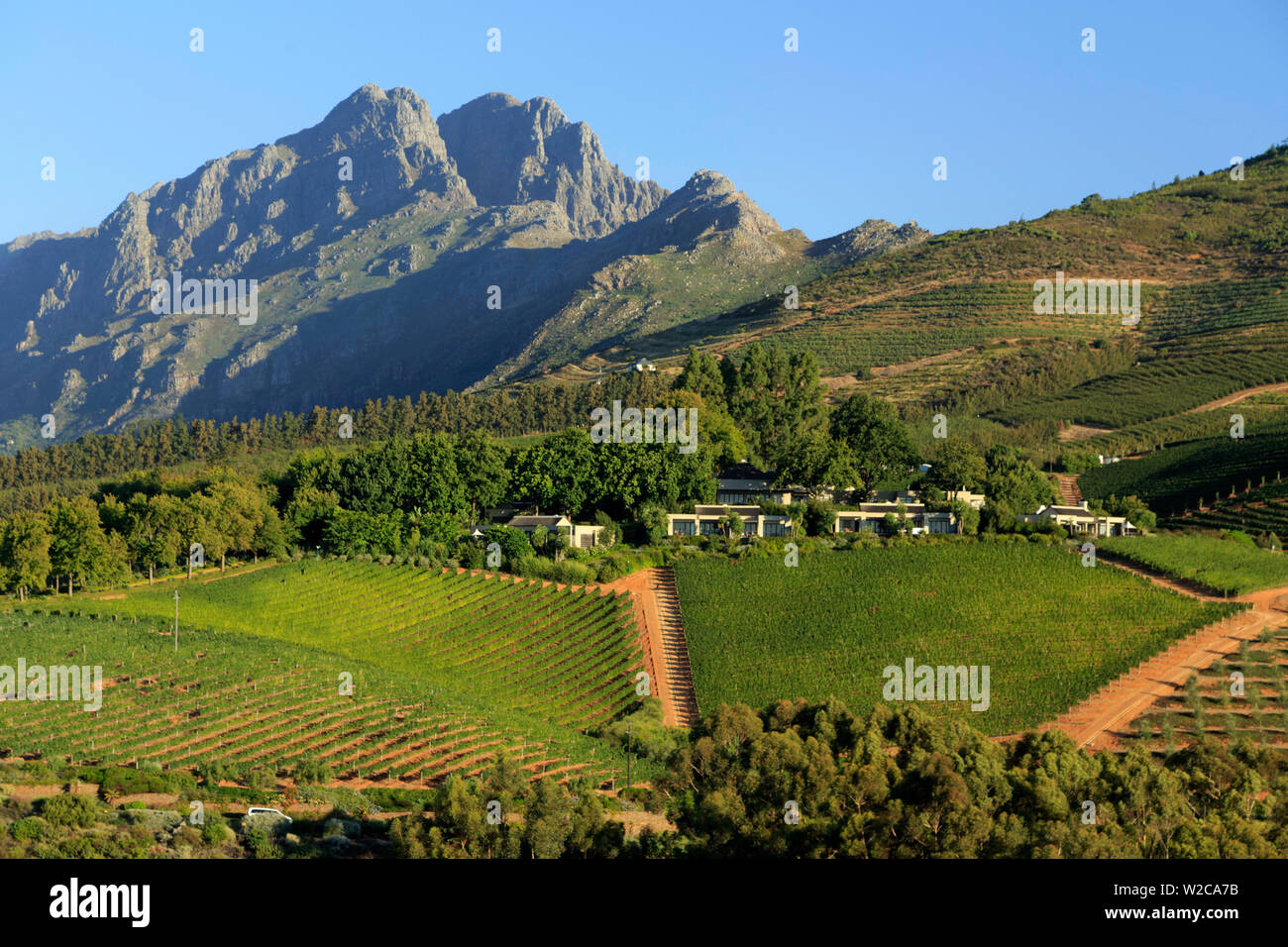 Südafrika, Western Cape, Stellenbosch, Tokara Weingut Stockfoto