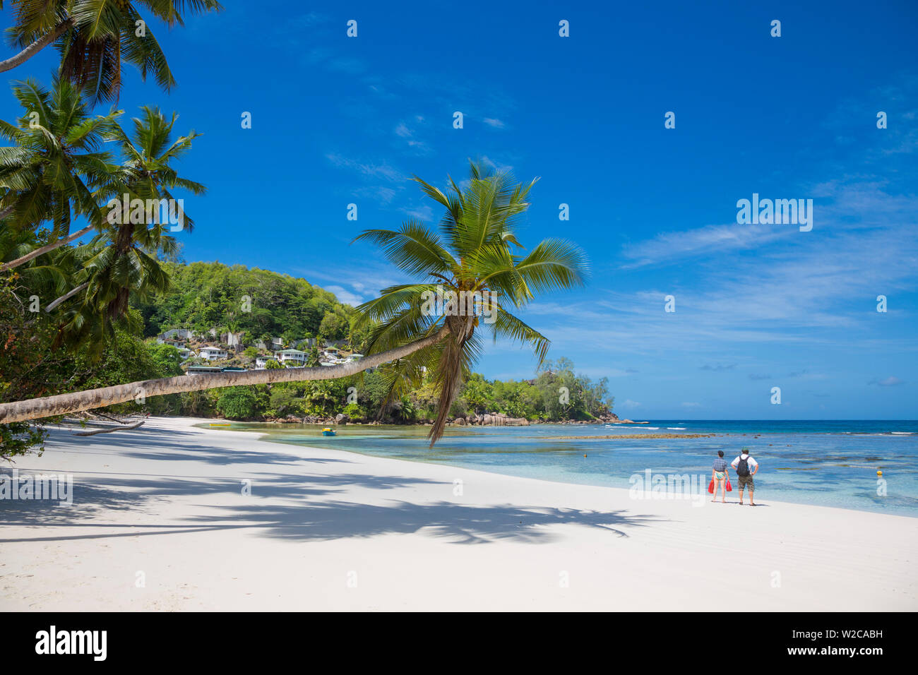 Palmen und tropischen Strand, Süden von Mahe, Seychellen Stockfoto