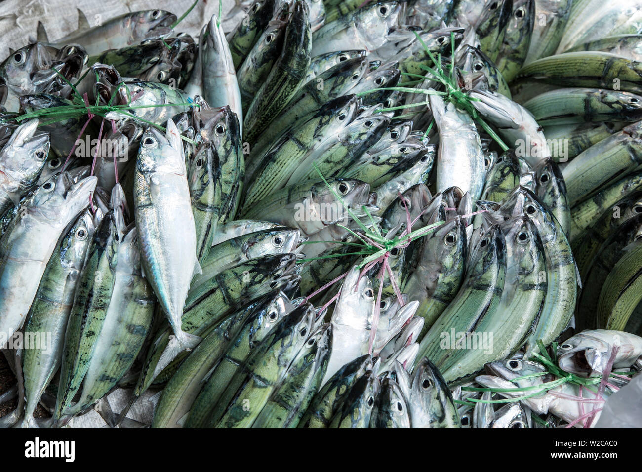 Fische angezeigt auf dem Markt in Victoria, Mahe, Seychellen Stockfoto