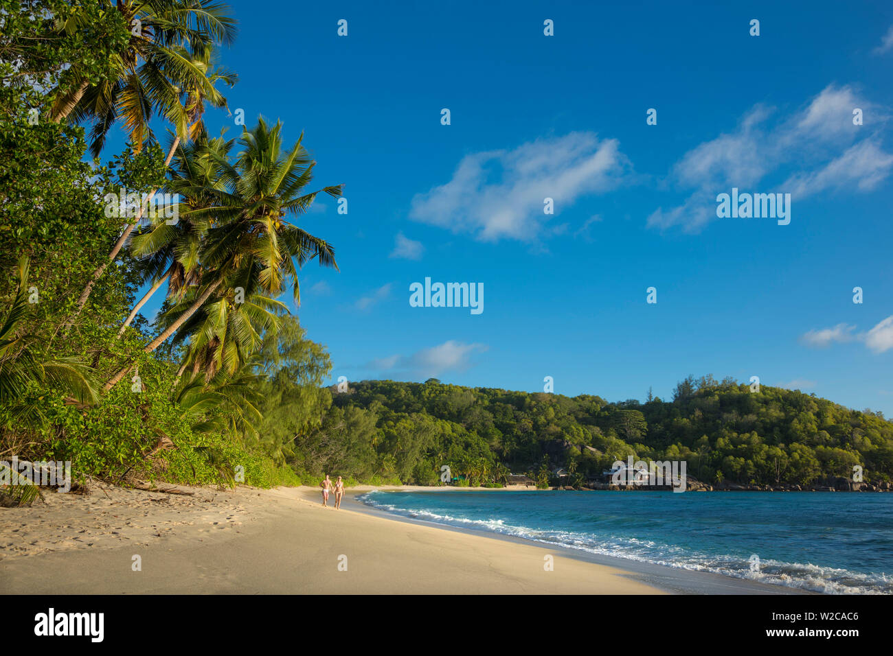 Palmen und tropischen Strand, Süden von Mahe, Seychellen Stockfoto
