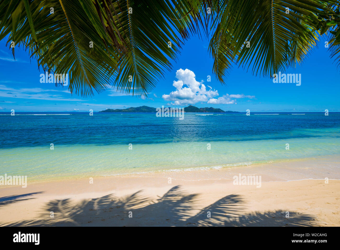 Palmen und tropischen Strand, La Digue, Seychellen Stockfoto