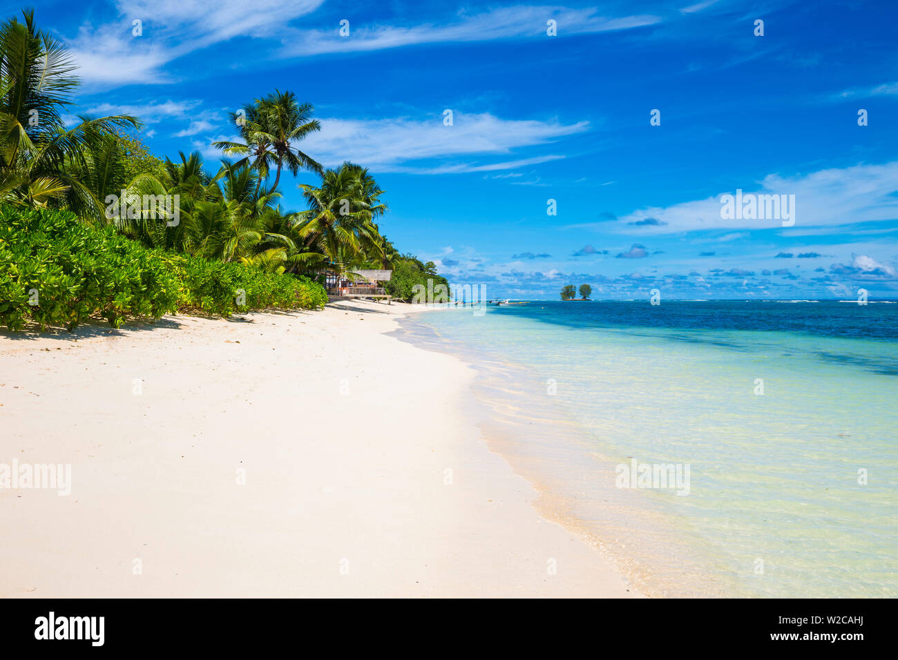 Palmen und tropischen Strand, La Digue, Seychellen Stockfoto