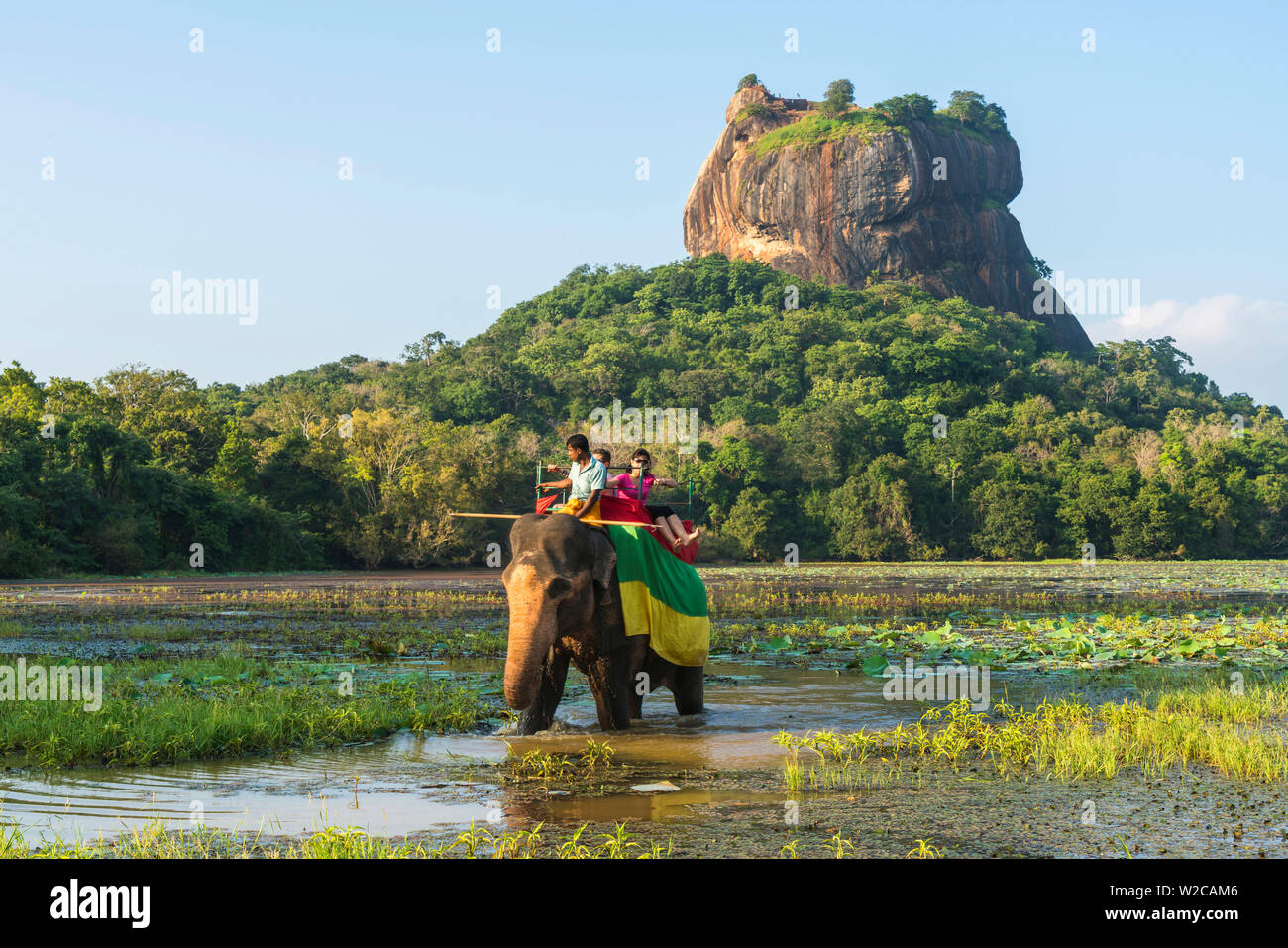 Elefanten reiten mit Lion Rock, Alte Festung hinter, Sigiriya, Sri Lanka Stockfoto
