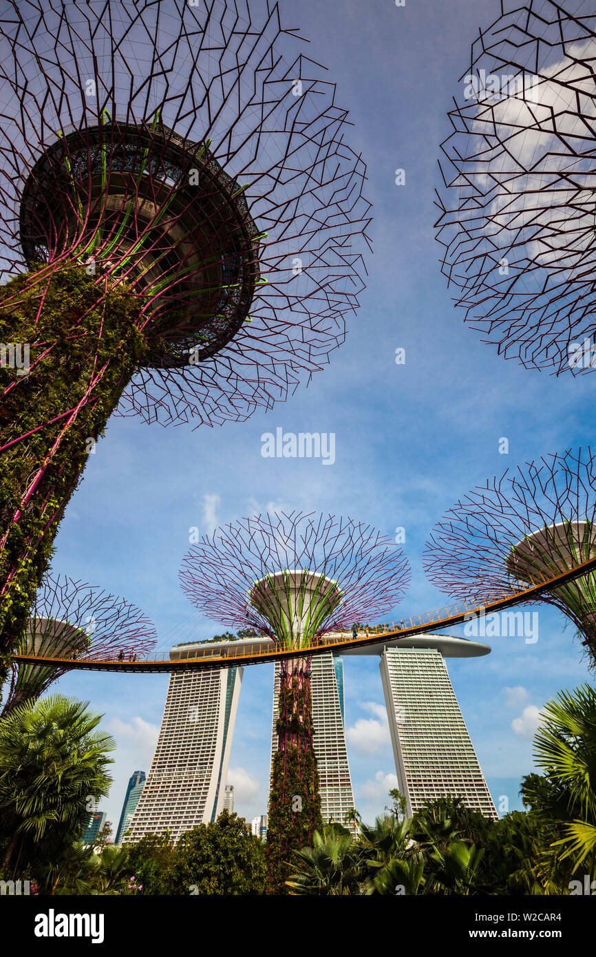 Gardens By The Bay, Super Baum Grove, Singapur und Marina Bay Sands Hotel, tagsüber Stockfoto