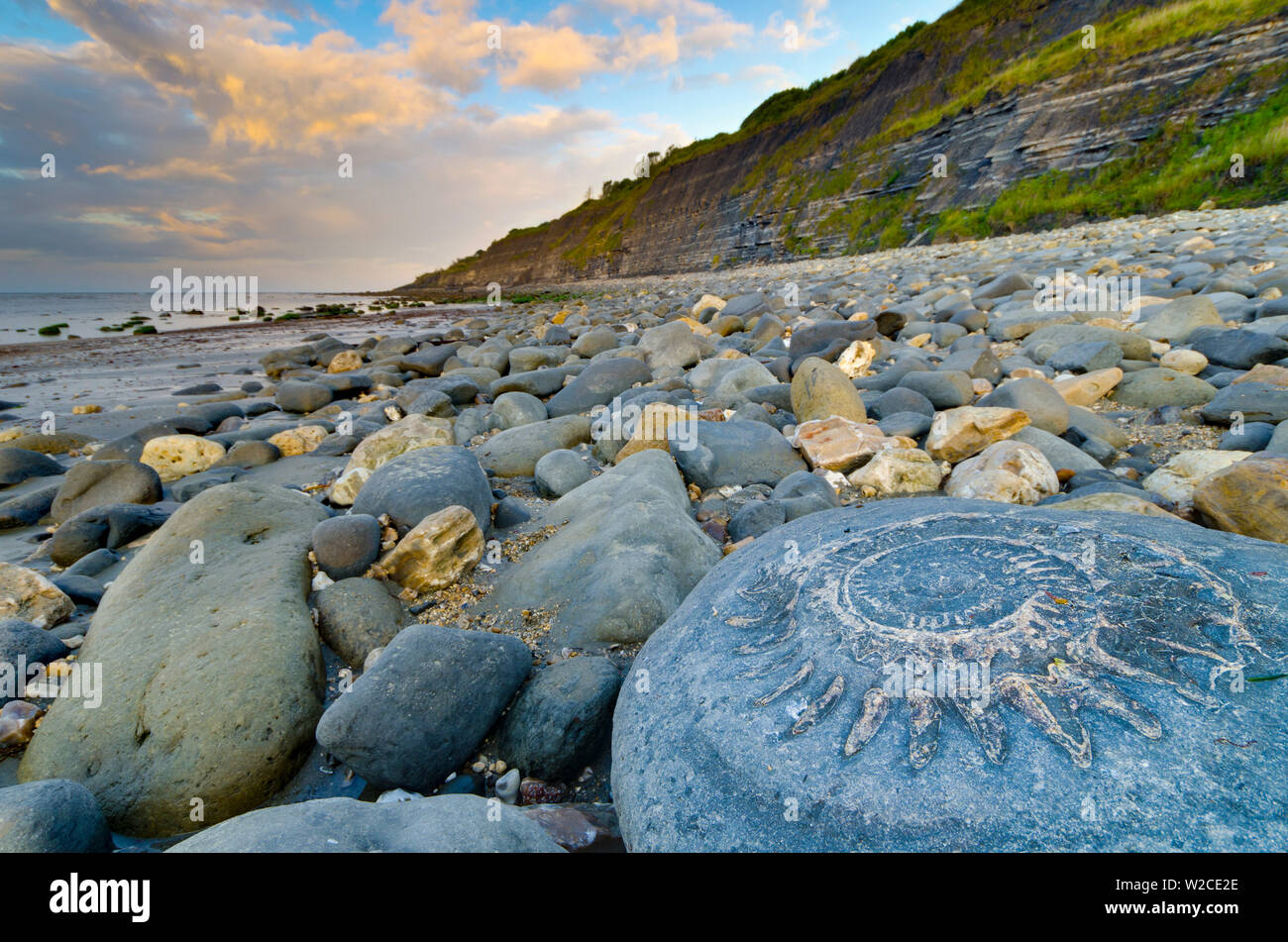Großbritannien, England, Dorset, Lyme Regis, ein Tor der Stadt zum UNESCO-Weltkulturerbe der Jurassic Coast, Monmouth Beach, Ammoniter, Bürgersteig, große Ammonit fossil Stockfoto