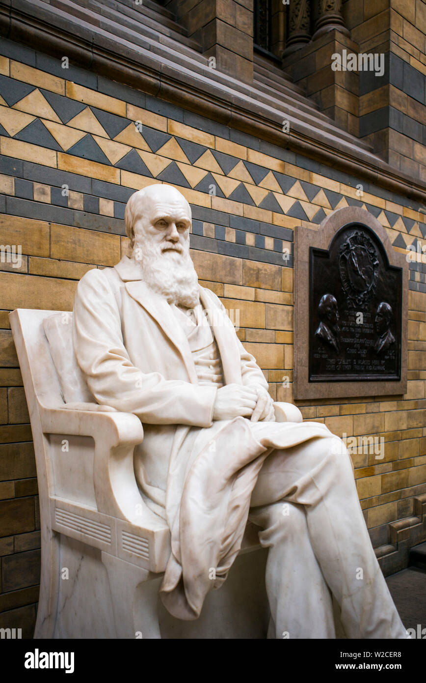 England, London, South Kensington, das Natural History Museum, die Statue der Wissenschaftler Charles Darwin Stockfoto