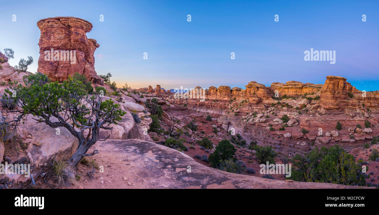 USA, Utah, Canyonlands National Park, den Needles District, Big Spring Canyon Overlook Stockfoto