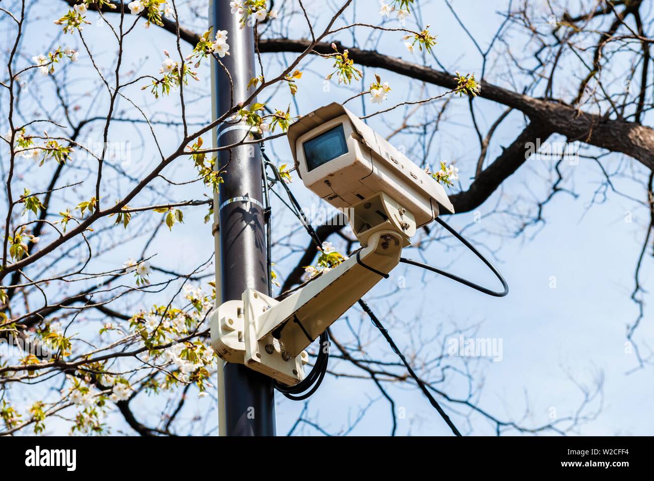 Outdoor Überwachungskamera, Sicherheit und Überwachung, CCTV, Tokio, Japan Stockfoto