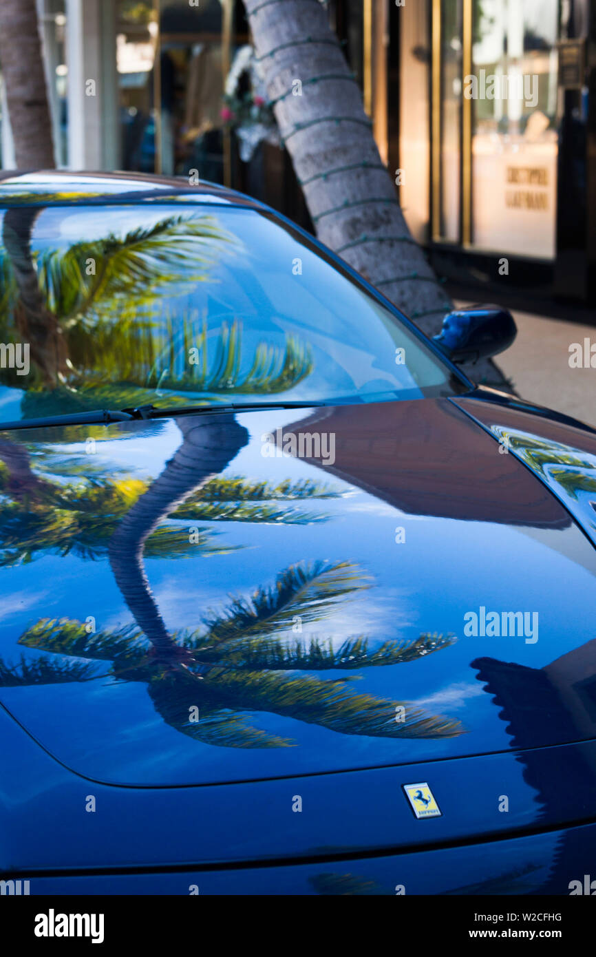 USA, Florida, Palm Beach, Worth Avenue, Palme spiegelt sich in Ferrari Sportwagen Stockfoto