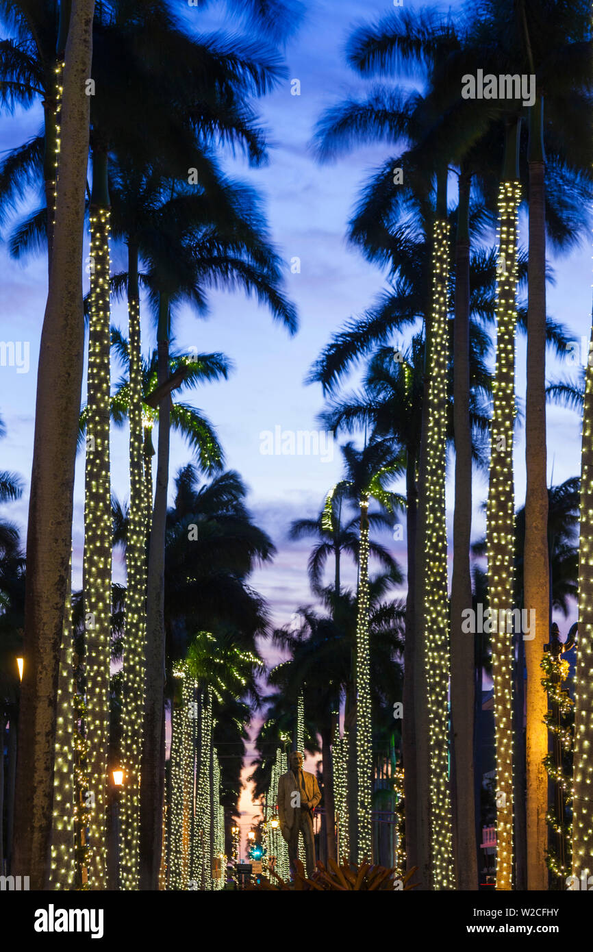USA, Florida, Palm Beach, Handflächen auf Royal Palm Weg Stockfoto