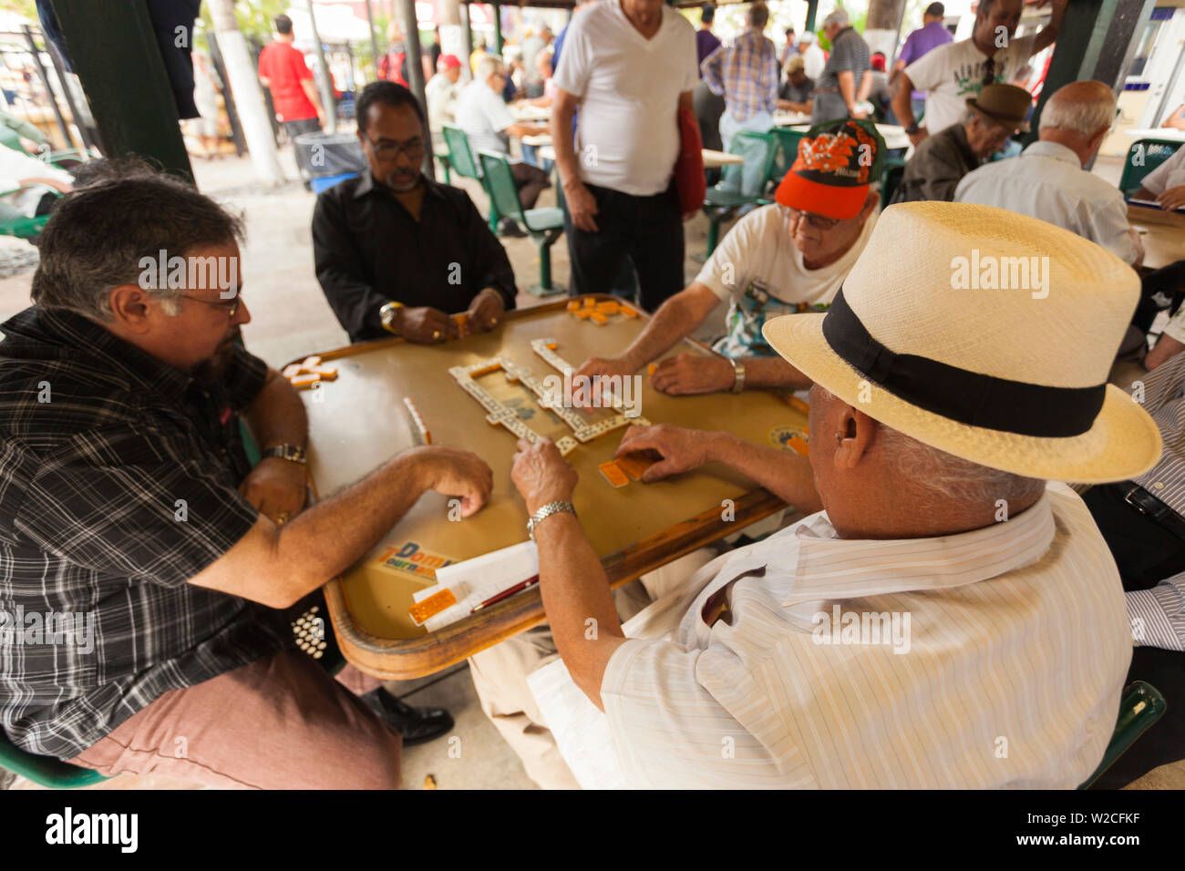 USA, Florida, Miami, Little Havana, Calle Ocho, SW 8th Street, Maximo Gomez Park, Domino Spieler Stockfoto