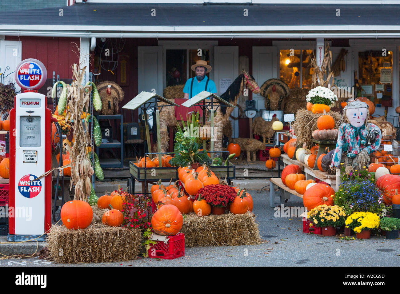 USA, Pennsylvania, Pennsylvania Dutch Country, Vogel in der Hand, alten Dorfladen und Kürbisse, Herbst Stockfoto