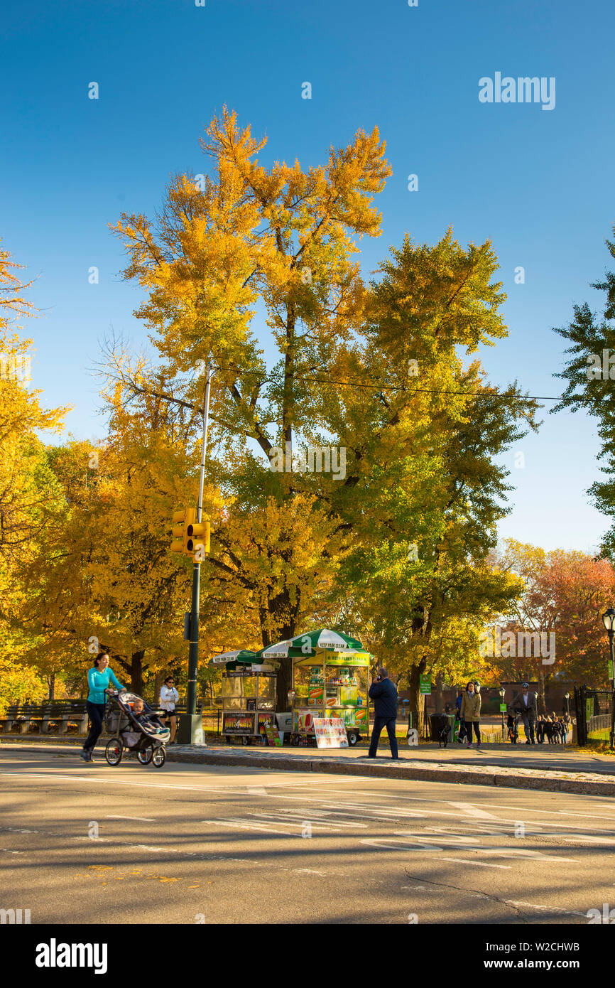 Central Park in Manhattan, New York City, New York, USA Stockfoto