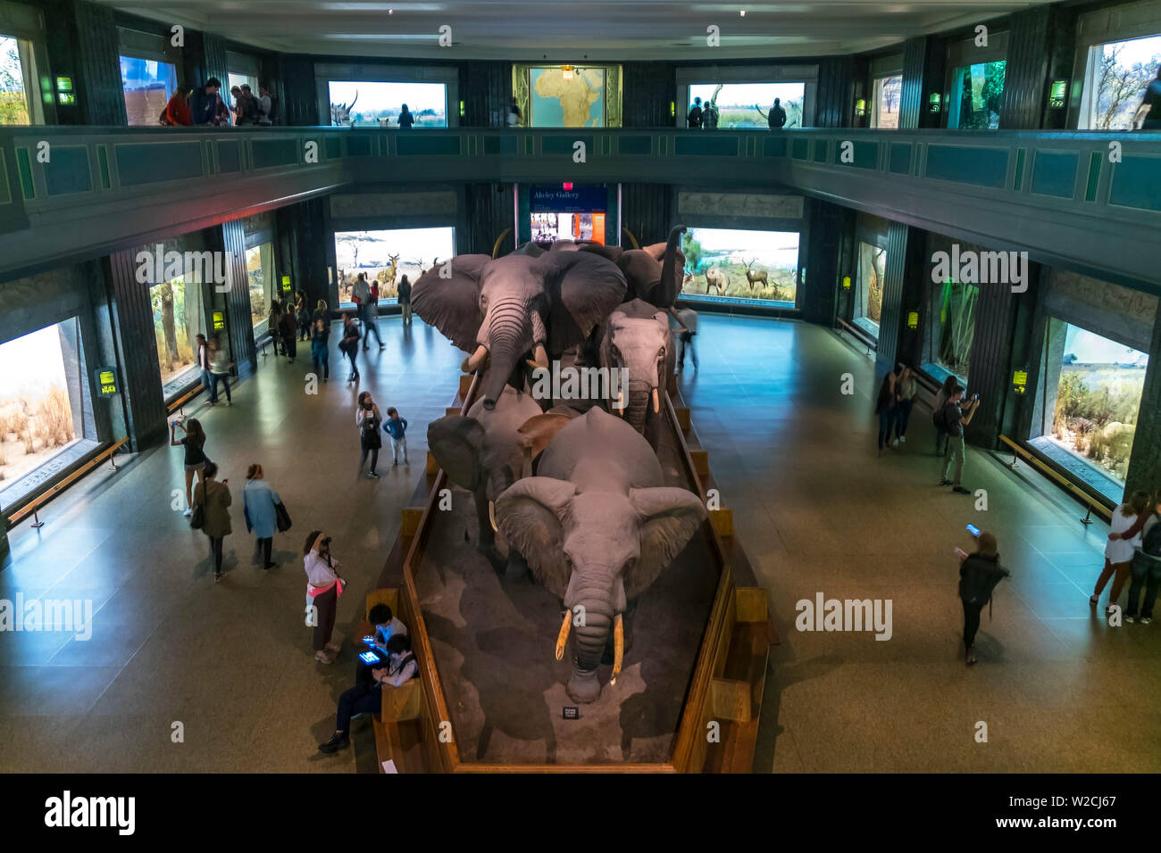 American Museum of Natural History, Manhattan, New York, USA Stockfoto