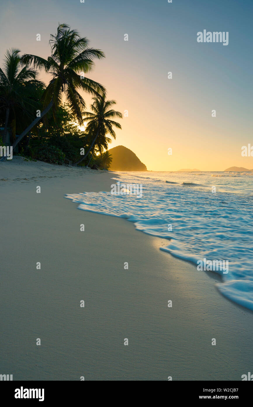 Karibik, British Virgin Islands, Tortola, Long Bay, Long Bay Beach Stockfoto