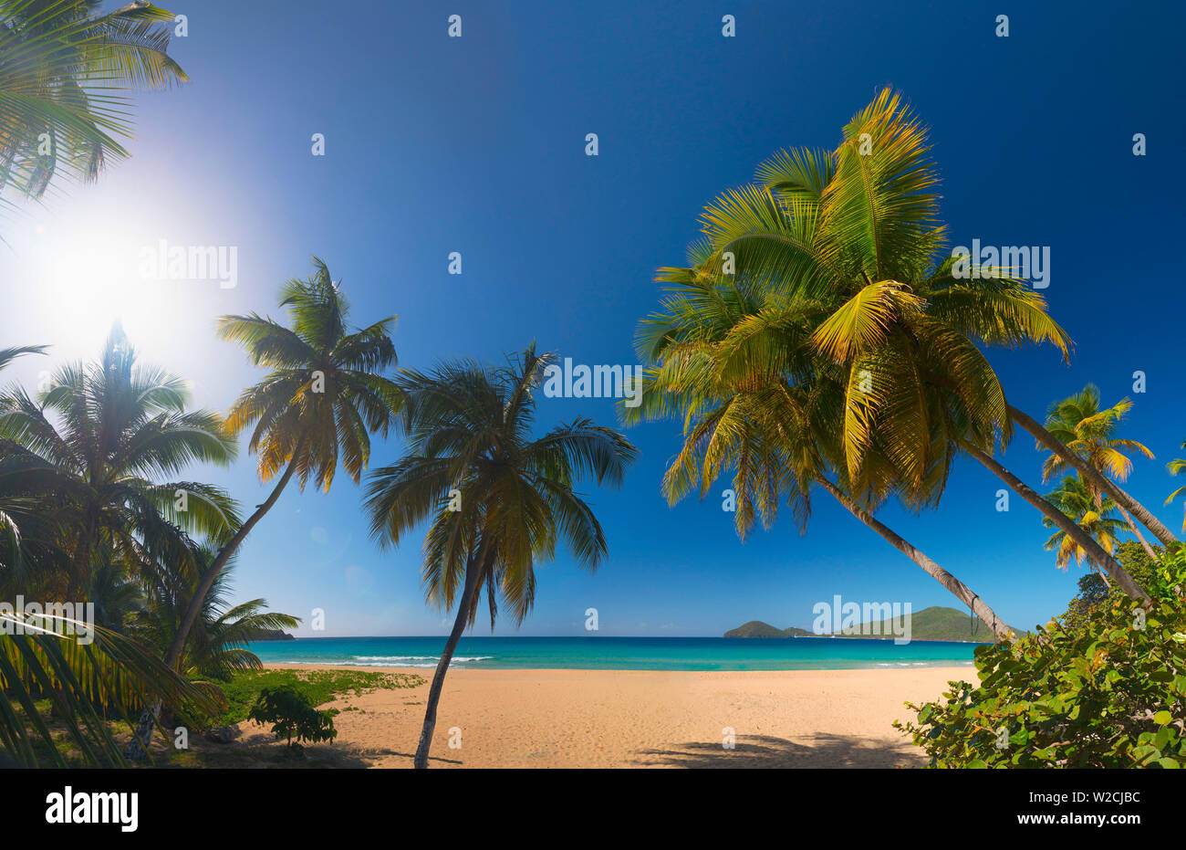Karibik, British Virgin Islands, Tortola, Lamberts Bay Lamberts Bay Beach Stockfoto