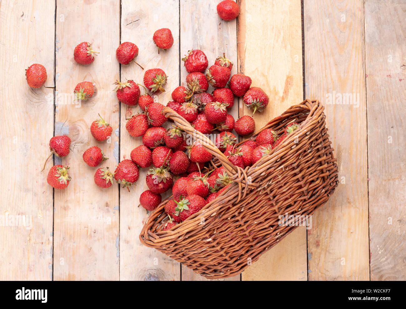 Erdbeeren in einem Weidenkorb, Ansicht von oben und der Platz für Text Stockfoto