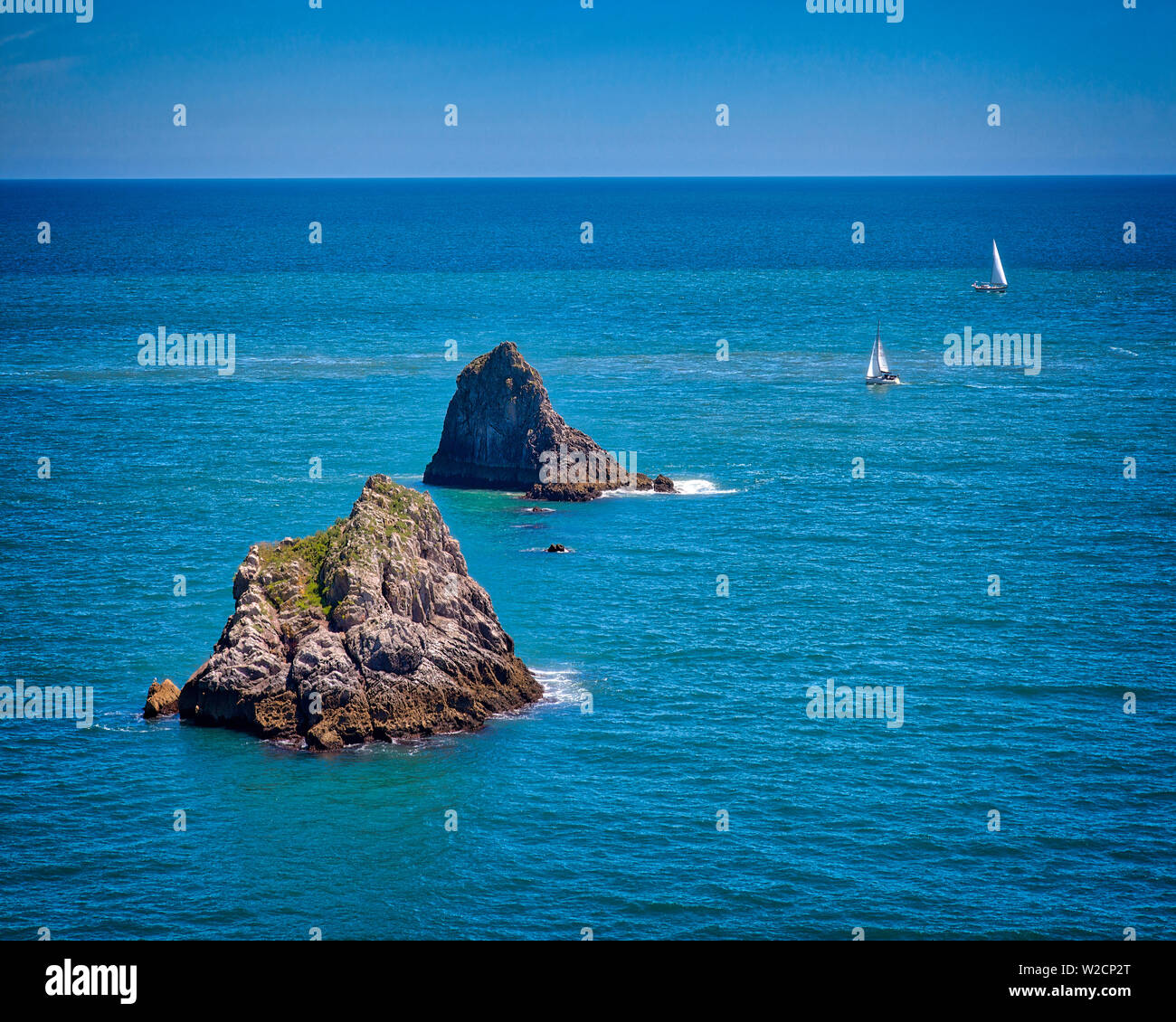 De - Devon: Mew Stein und Cod Rock Berry Head in der Nähe von Brixham (HDR-Bild) Stockfoto