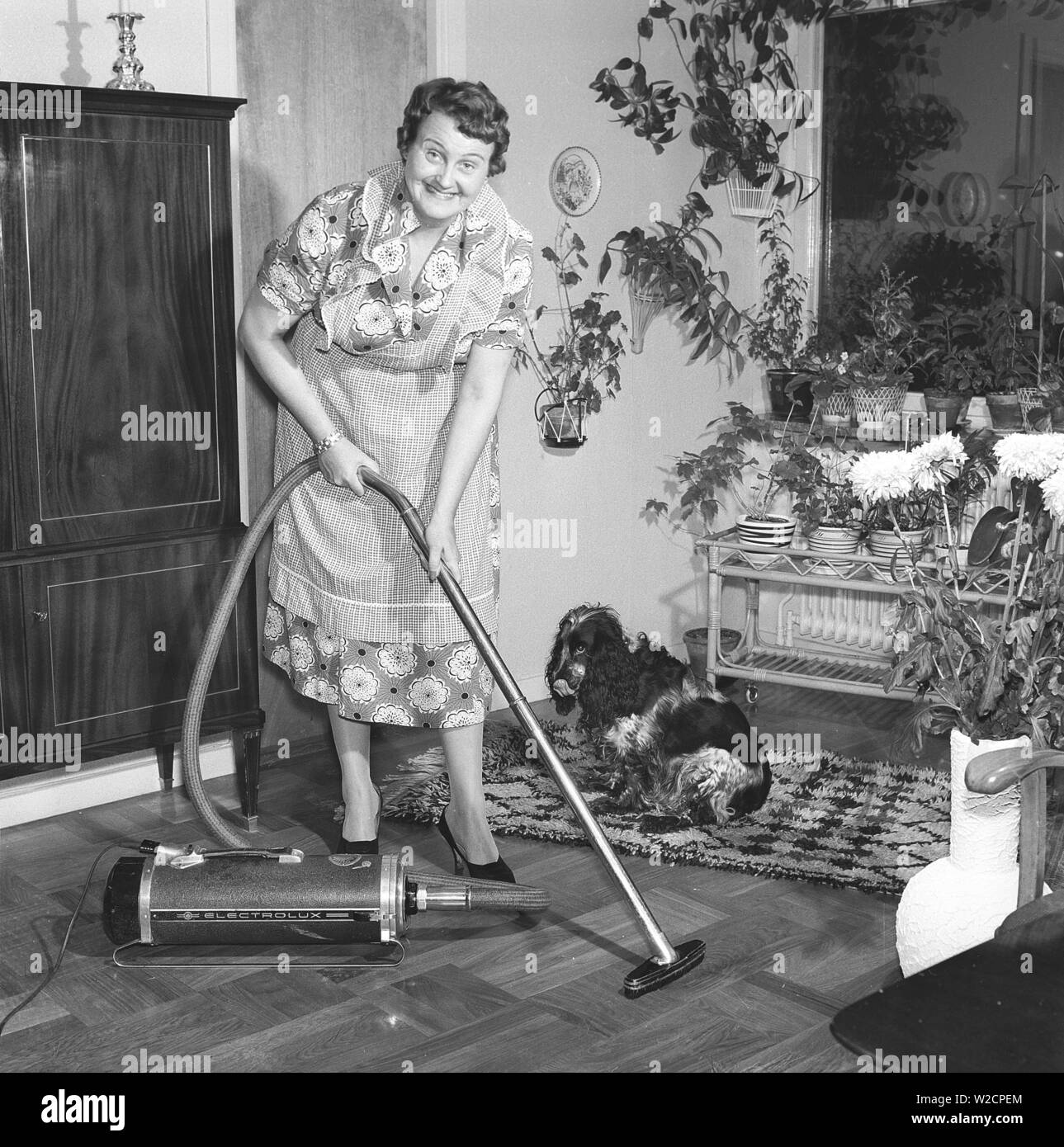Reinigung Tag in den 1950er Jahren. Eine Hausfrau ist Saugen den Boden mit dem neuesten Modell von Electrolux. Ihr Hund sitzt auf einem Teppich neben ihr. Schweden 1958 Kristoffersson ref CC 59-1 Stockfoto
