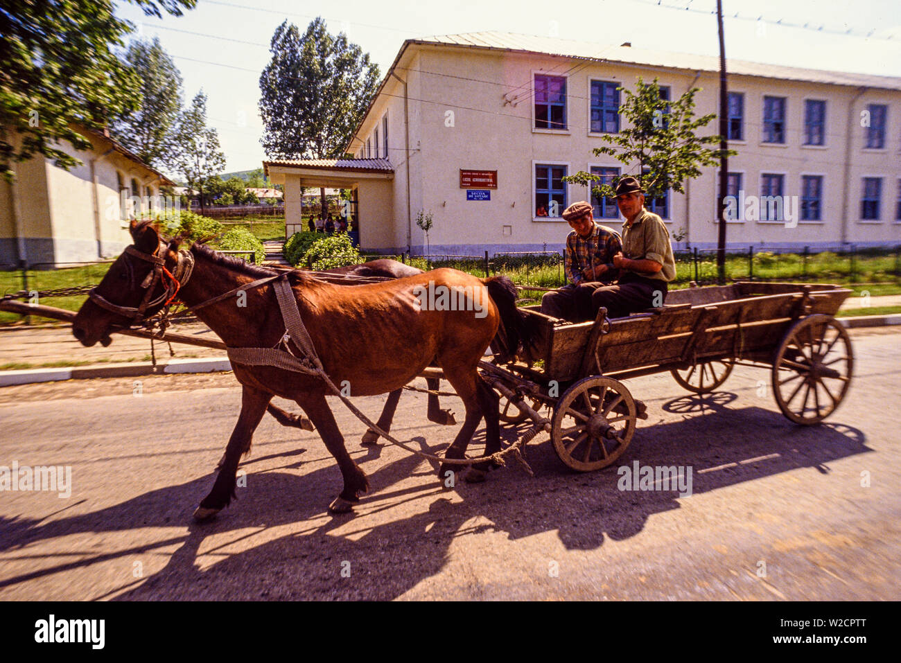 Rumänien. Mai 1990. Ländliche Szene. Zwei Männer fahren mit dem Warenkorb von zwei Pferden gezogen. Foto: © Simon Grosset. Archiv: Bild von einem ursprünglichen Transparenz digitalisiert. Stockfoto