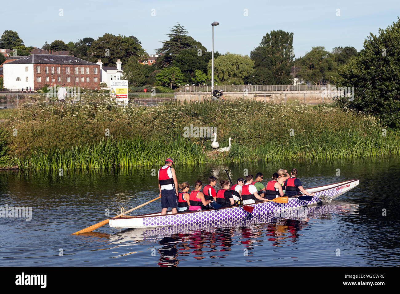 Nautische Schiff, Sport Rennen, Erwachsener, Wassersport, Athlet, Herausforderung, Wettbewerb, Koordinierung, Crew, Devon, Anstrengung, Trainieren, Stockfoto
