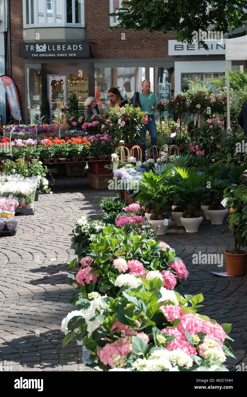 Markt für Blumen und Pflanzen in Bremen, Deutschland Stockfotografie - Alamy