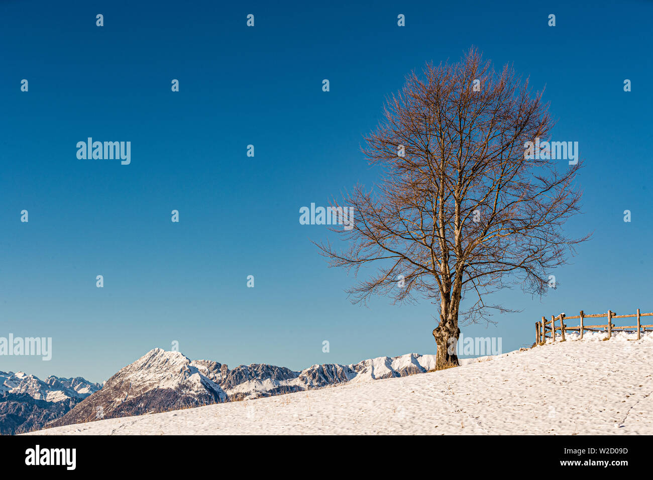 Italien Venetien Cansiglio - Alpago - Col Indes mit Schnee im Winter Stockfoto