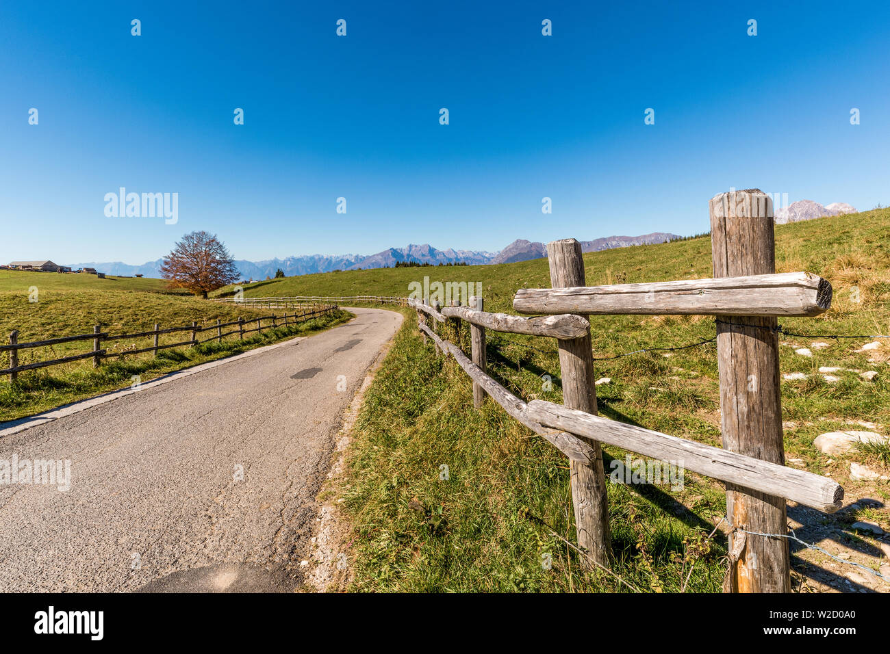 Italien Venetien Cansiglio - Alpago - Col Indes Stockfoto