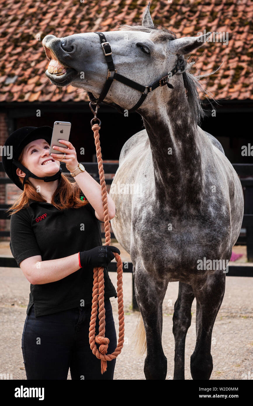 Stephanie Callen Der redwings Horse Sanctuary in Hampton, Norfolk mit pensionierten Rennpferd, "Nobby" mit ihrem Apple iPhone die Klänge der Pferde für ein Projekt ein Archiv für die Verwendung in Filmen, Radio und TV zu erstellen. Inspiriert durch die ÒWilhelm ScreamÓ C der Sound Effekt einer horseÕs wiehern, dass ein Witz in Hollywood geworden ist, die sich in Filmen von Star Wars bis Indiana Jones zu Disney Filme und mehr C zwei Unternehmen verwendet worden, haben sich zusammengetan, um ihn zu ersetzen. Soziales Netzwerk und app Equilab und Sound Library De Wolfe Musik, Sound für Filme wie Brokeback Mountain und Ame geliefert hat Stockfoto