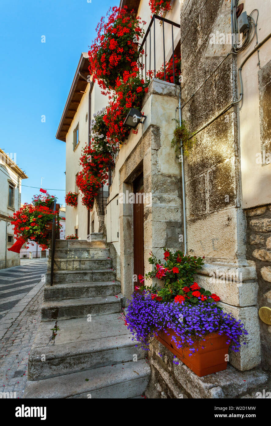 Blumentöpfe in Straße von Pescocostanzo Stockfoto
