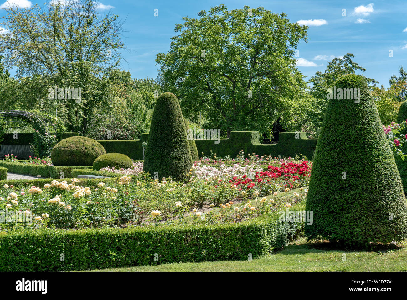 Bunte formalen Rosengarten in voller Blüte mit getrimmt Büsche und Hecken Stockfoto